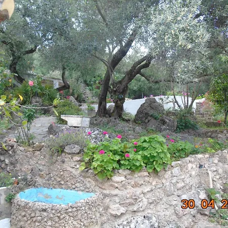 Casa El Cerro Chalet El Bosque (Cadiz)